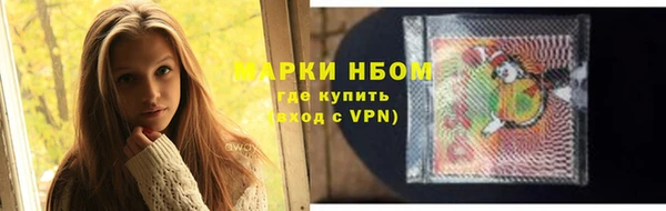 твердый Снежногорск