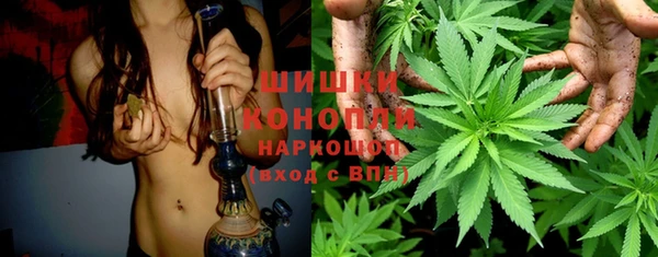 твердый Снежногорск