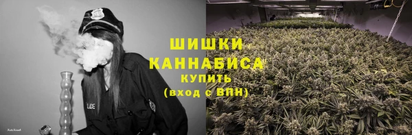 стаф Снежинск