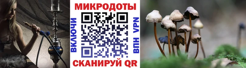 ссылка на мегу как войти  Карабаново  Псилоцибиновые грибы мухоморы  купить  цена 